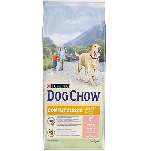DOG CHOW | Aliment Complet | Chien Adulte | 2025 pas cher