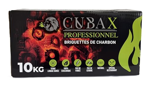 Briquettes de Charbon de Bois 100% ecologique 2025 pas cher